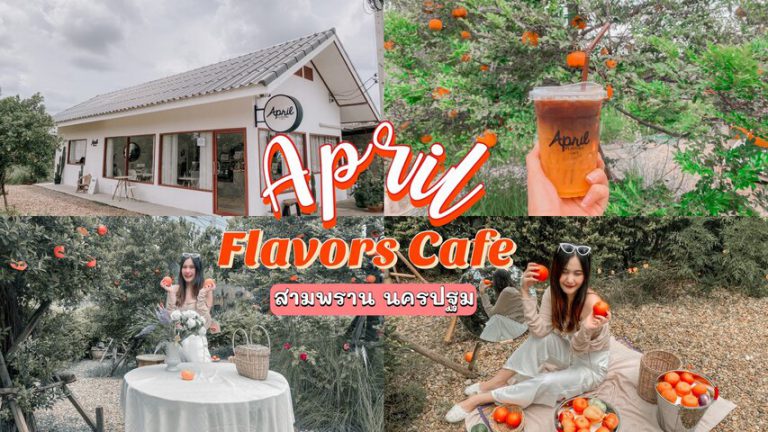 April Flavors Cafe นครปฐม คาเฟ่มินิมอลในสวนส้มสุดชิคสไตล์เกาหลี