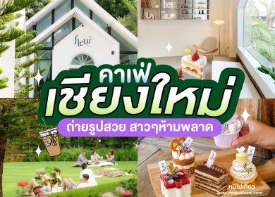 รีวิว 20 คาเฟ่เชียงใหม่ [2024] ถ่ายรูปสวย บรรยากาศดี สายฮอปต้องไปเช็คอิน